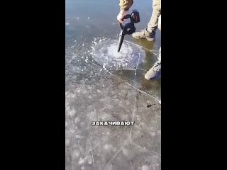 vile fishermen lure fish