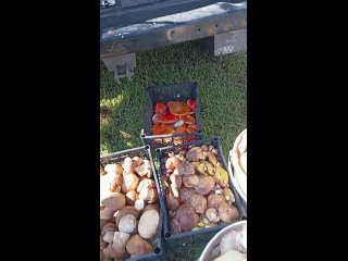 video by eavesdropped belzernsk
